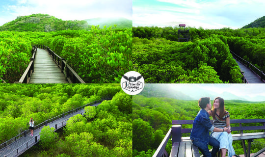 profile cover