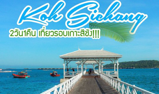 profile cover