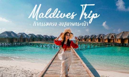 profile cover