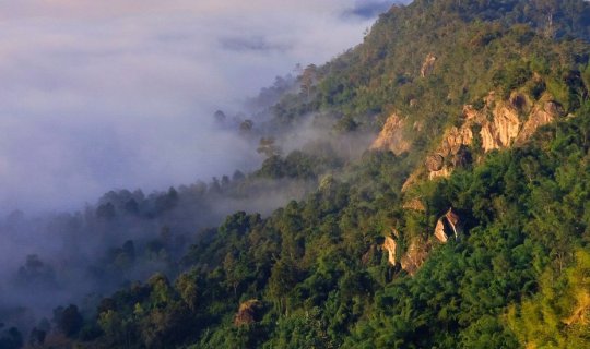 Cover Conquering the Sea of Mist at Khao Pok Loen....