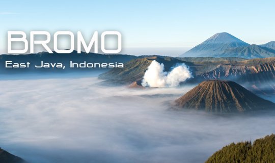 profile cover